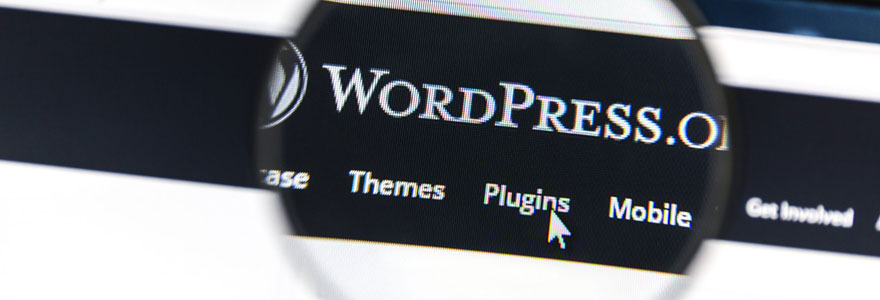Sites web wordpress